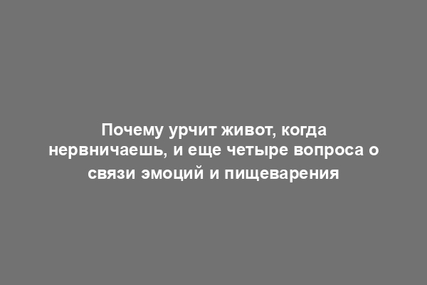 Почему урчит живот, когда нервничаешь, и еще четыре вопроса о связи эмоций и пищеварения