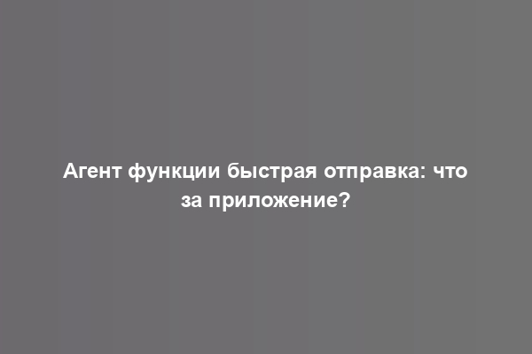 Агент функции быстрая отправка: что за приложение?