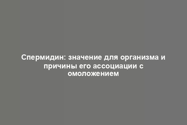 Спермидин: значение для организма и причины его ассоциации с омоложением