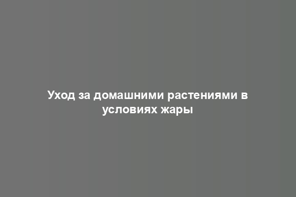 Уход за домашними растениями в условиях жары