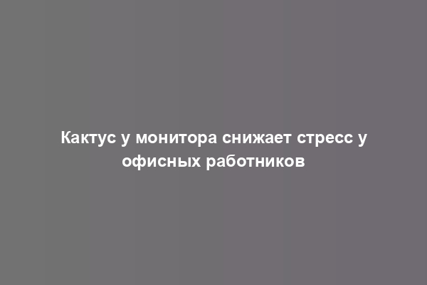 Кактус у монитора снижает стресс у офисных работников